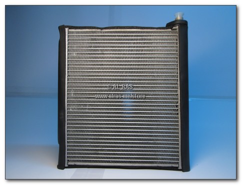 EVAP. MITS CANTER 06